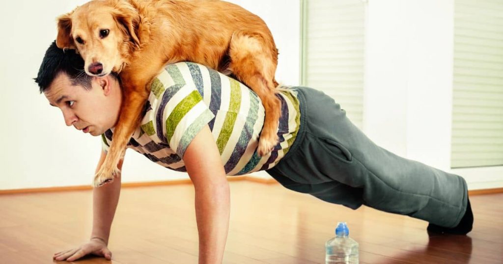 Man-doing-push-ups-with-dog-on-his-back