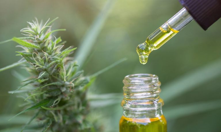 CBD Oil: A Comprehensive Guide to Its Uses and Benefits