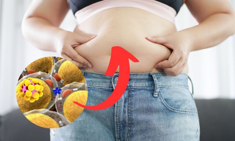 Brown Fat Activation: The Key to Boosting Metabolism Naturally?