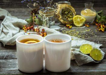 best weight loss tea for fast results