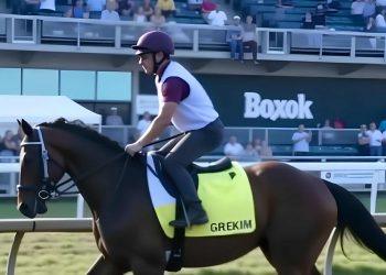 Toby Keith horse health lessons-min