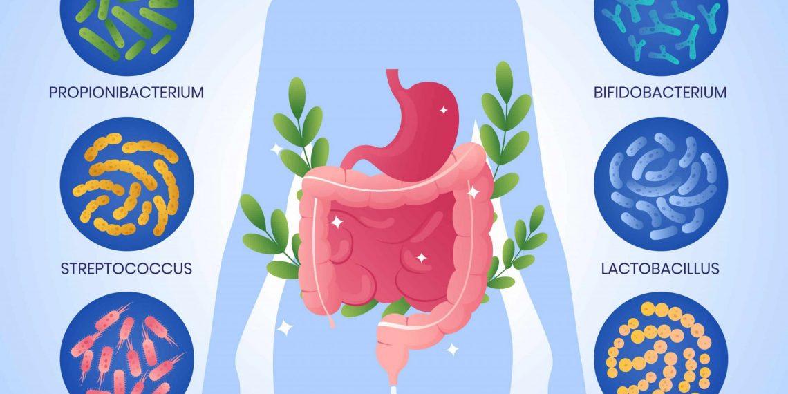 gut microbiome prevent cancer