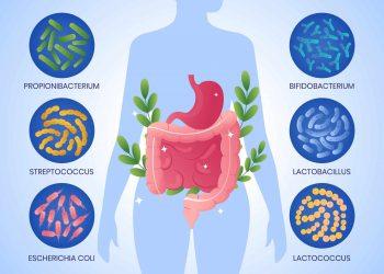 gut microbiome prevent cancer