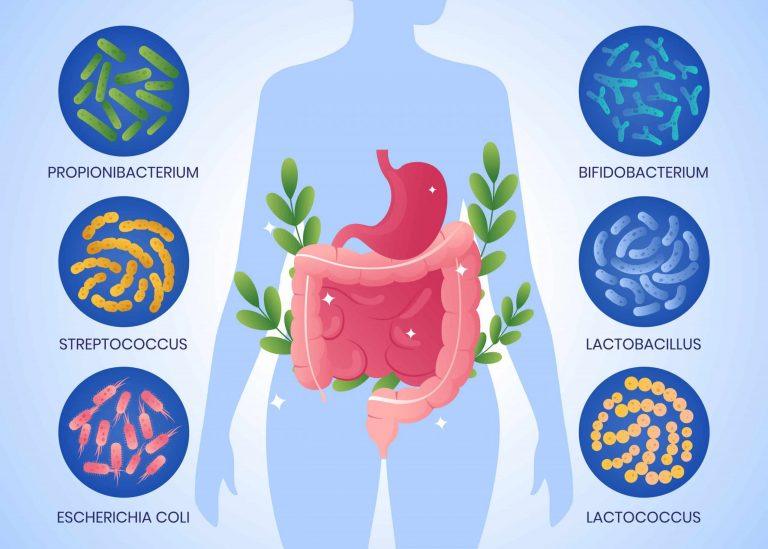 gut microbiome prevent cancer