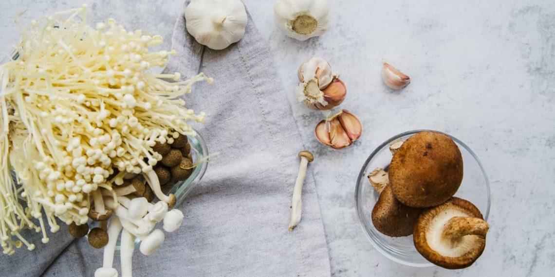 Benefits of lions mane mushroom for brain and gut health