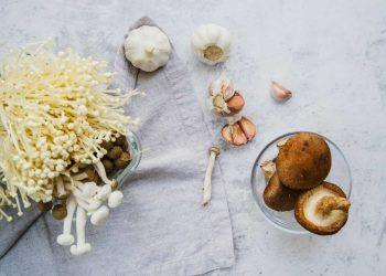 Benefits of lions mane mushroom for brain and gut health