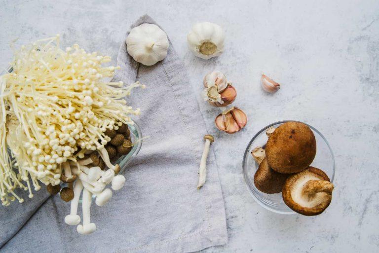Benefits of lions mane mushroom for brain and gut health