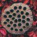 Close-up of lotus seed pod triggering trypophobia response