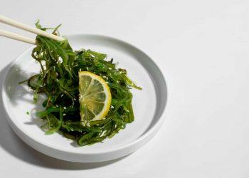 Fresh seaweed on a plate showcasing seaweed nutrition benefits