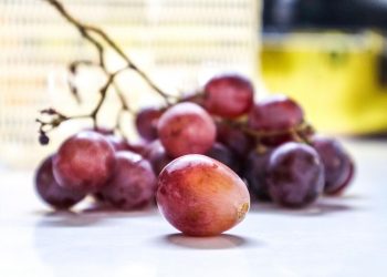 10 Amazing Moringa Nutrition Facts You Need to Know!