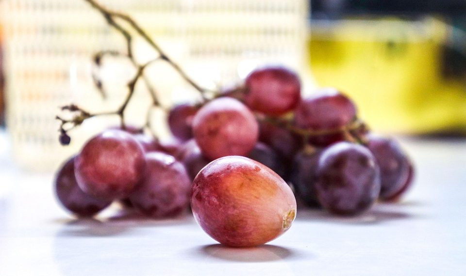 10 Amazing Moringa Nutrition Facts You Need to Know!