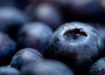 10 Antioxidant Powerhouses to Boost Your Health Today