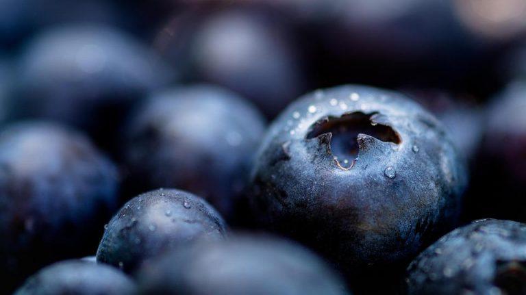 10 Antioxidant Powerhouses to Boost Your Health Today