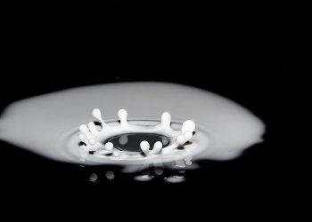 10 Calcium-Rich Foods You’ll Love to Eat Daily