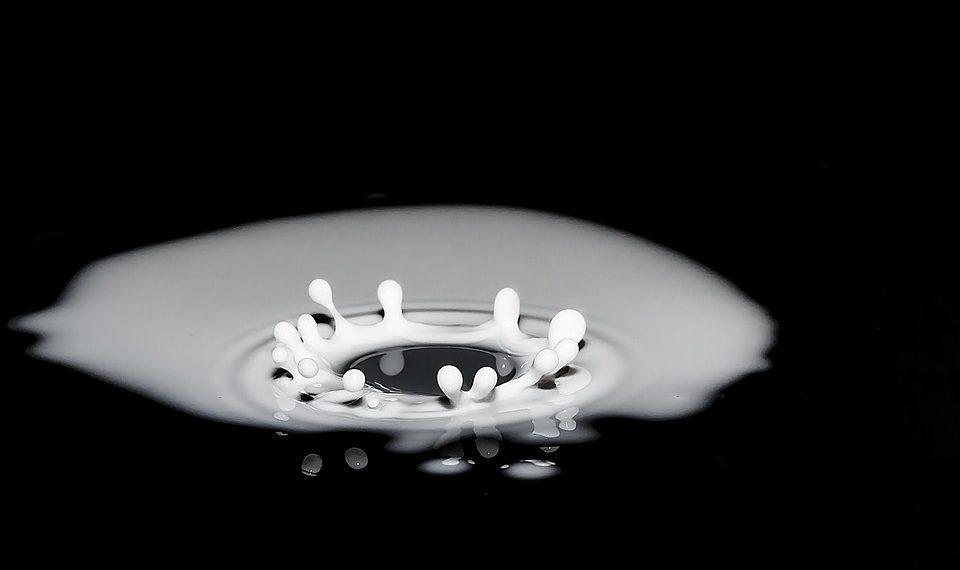 10 Calcium-Rich Foods You’ll Love to Eat Daily