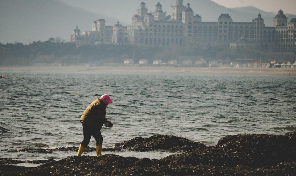 10 Clean Eating Hacks for a Healthier You