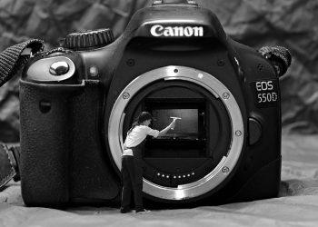 10 Clean Eating Myths Debunked for Better Health