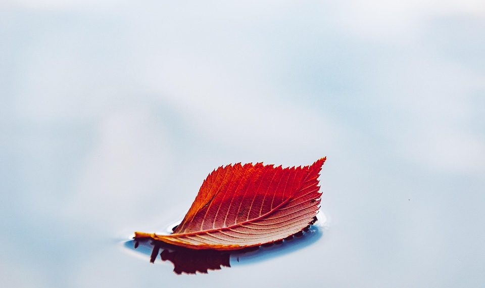 10 Clean Eating Recipes to Revitalize Your Meals Today