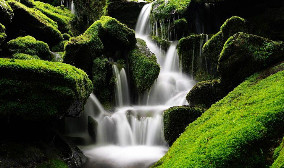 10 Clean Foods to Supercharge Your Health Today!