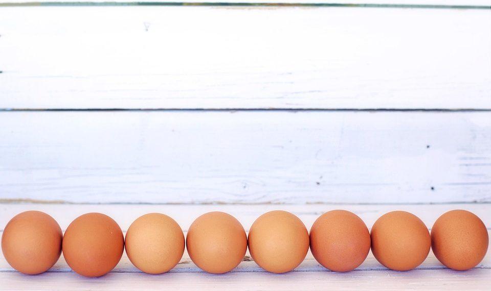 10 Clean Protein Sources for a Healthier You