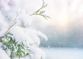 10 Delicious Clean Eating Recipes for Every Meal