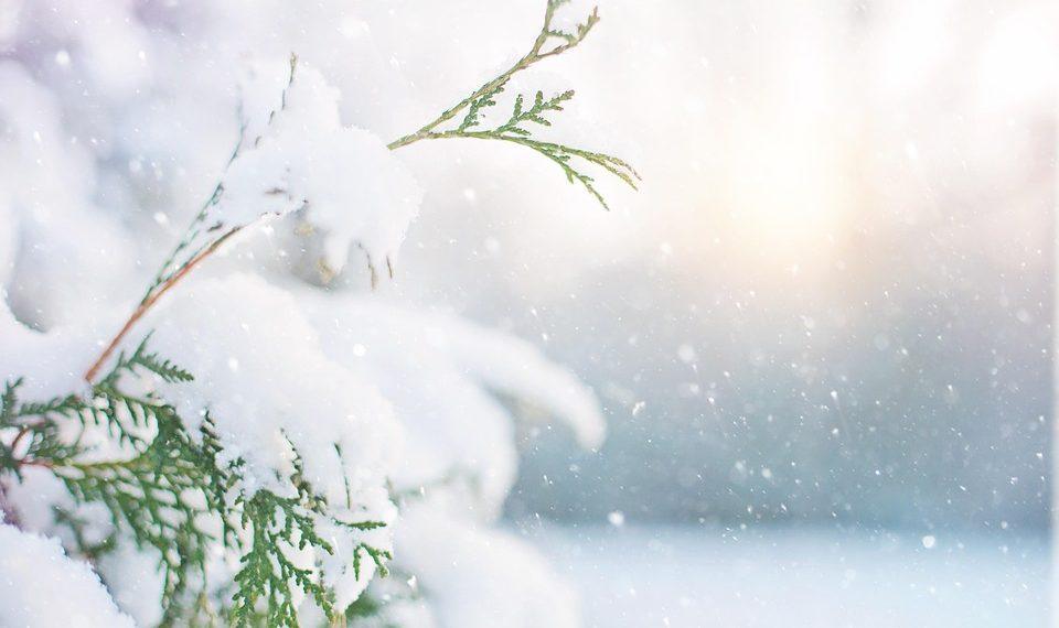 10 Delicious Clean Eating Recipes for Every Meal