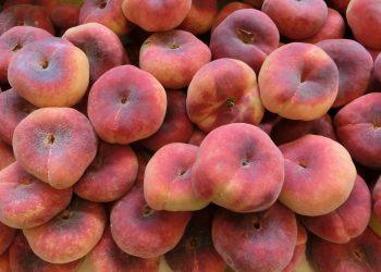 10 Delicious Foods Packed with Vitamin D You Need Today