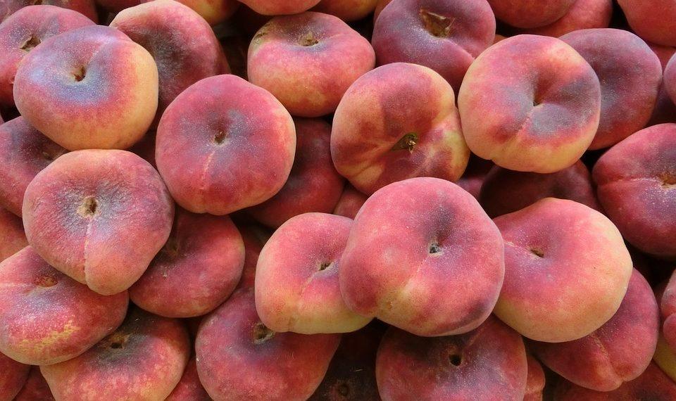 10 Delicious Foods Packed with Vitamin D You Need Today