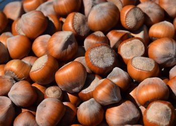 10 Delicious Foods for a Natural High-Protein Boost