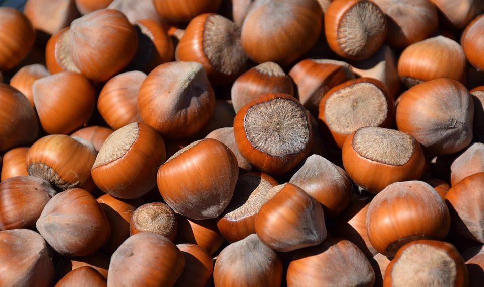 10 Delicious Foods for a Natural High-Protein Boost