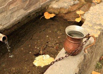 10 Delicious Healthy Fats You Need in Your Diet