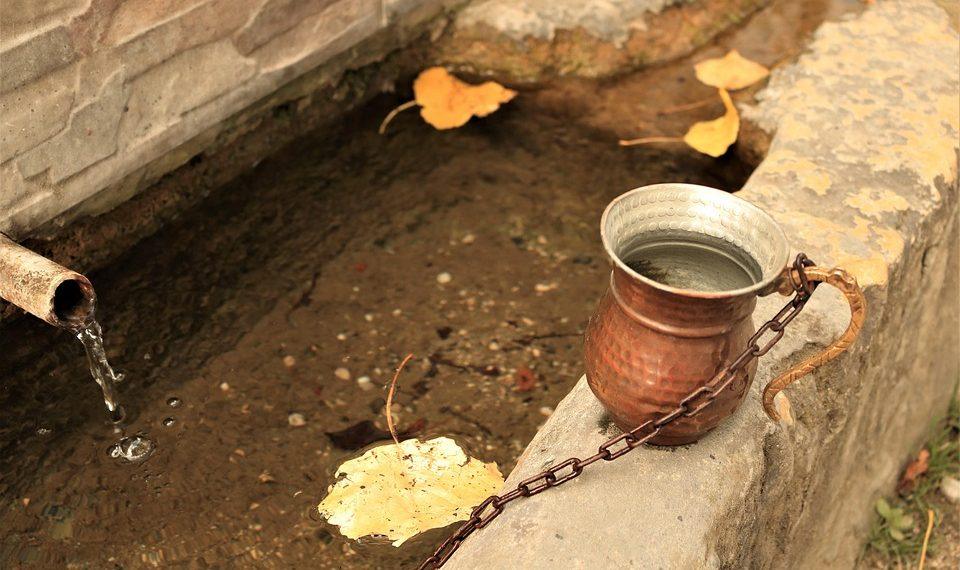 10 Delicious Healthy Fats You Need in Your Diet