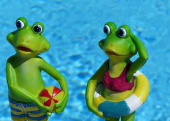 10 Delicious Ready Meals to Boost Your Weight Loss Journey