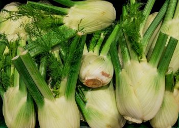 10 Detox Foods to Revitalize Your Body Today