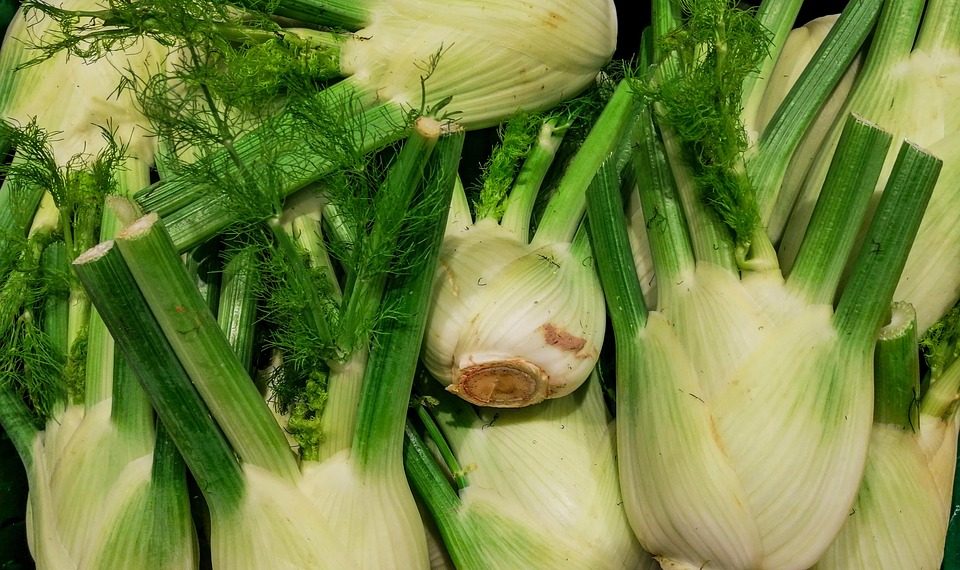 10 Detox Foods to Revitalize Your Body Today