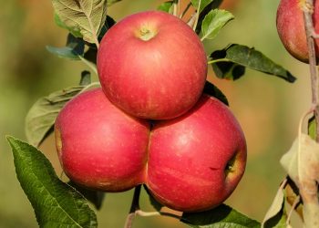 10 Easy Hacks to Boost Your Metabolism Today