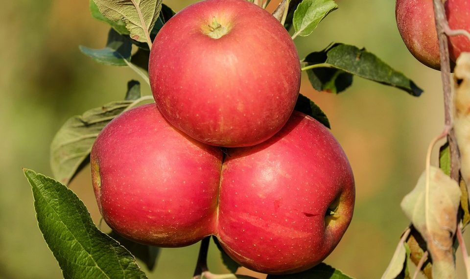 10 Easy Hacks to Boost Your Metabolism Today