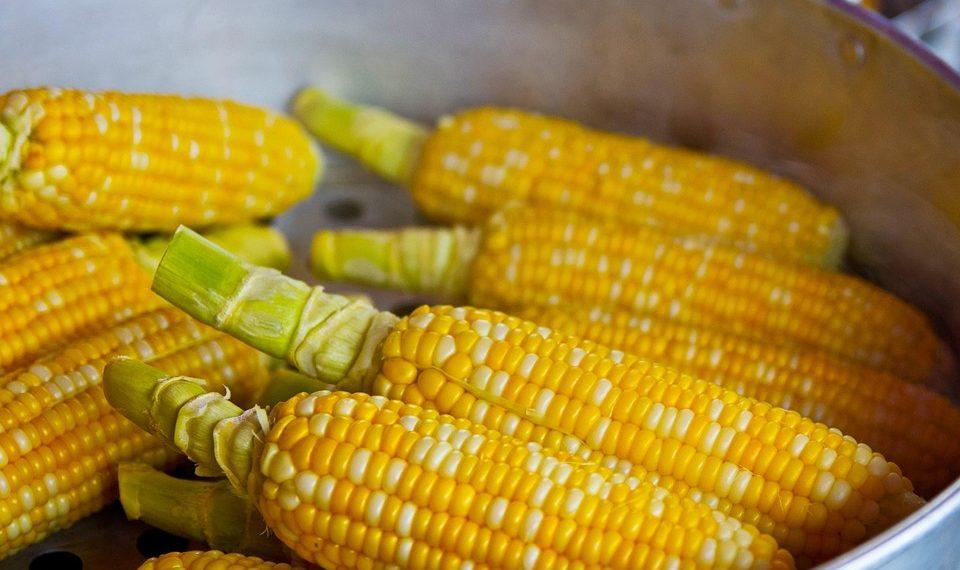 10 Easy Nutrition Hacks for a Healthier You