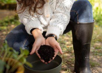 10 Easy Steps to a Sustainable Healthy Lifestyle