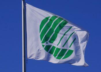 10 Easy Swaps for Sustainable Eating Today