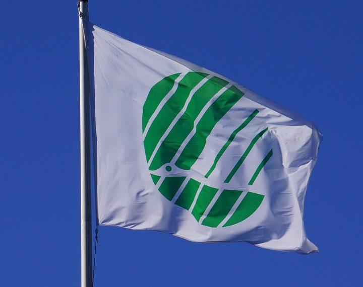 10 Easy Swaps for Sustainable Eating Today