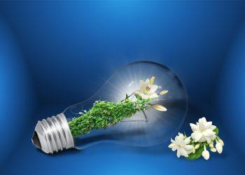 10 Easy Ways to Embrace Sustainable Eating Today