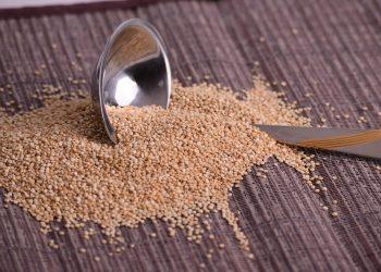 10 Energizing Foods to Power Your Day Naturally