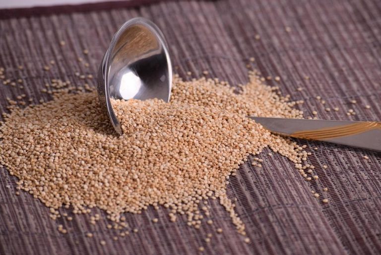 10 Energizing Foods to Power Your Day Naturally