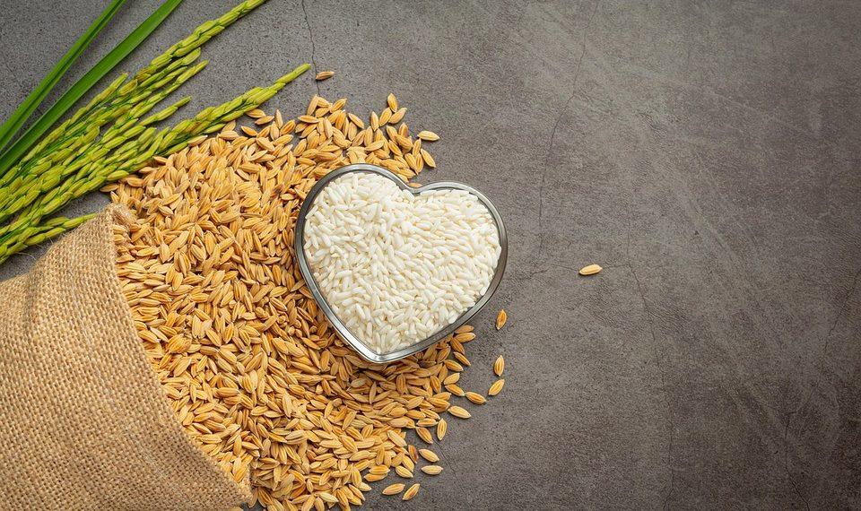 10 Essential Nutrients You Can't Afford to Miss!