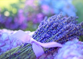 10 Essential Oils to Transform Your Well-Being Today