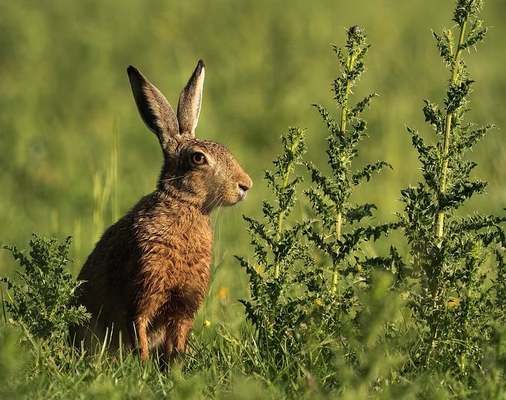 10 Fast Stress Relief Techniques You Need Right Now