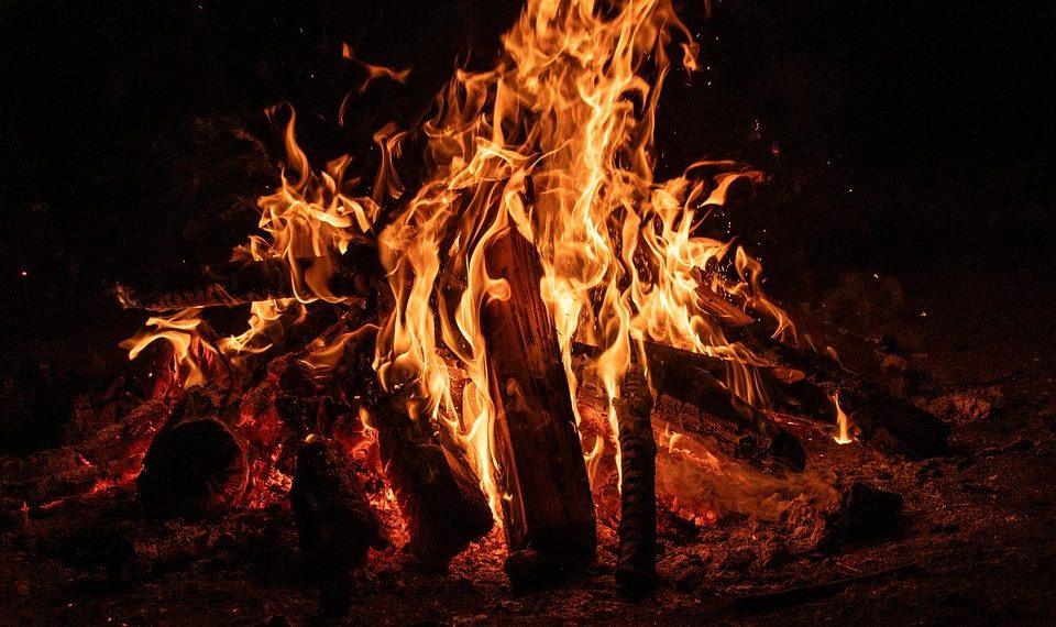 10 Fat-Burning Smoothies to Jumpstart Your Weight Loss