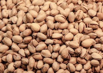 10 Fiber-Rich Snacks That Taste Amazing and Satisfy