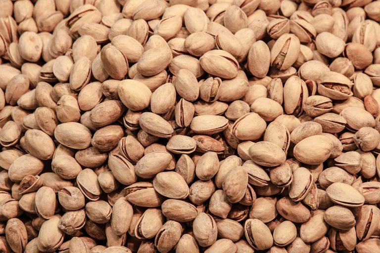 10 Fiber-Rich Snacks That Taste Amazing and Satisfy